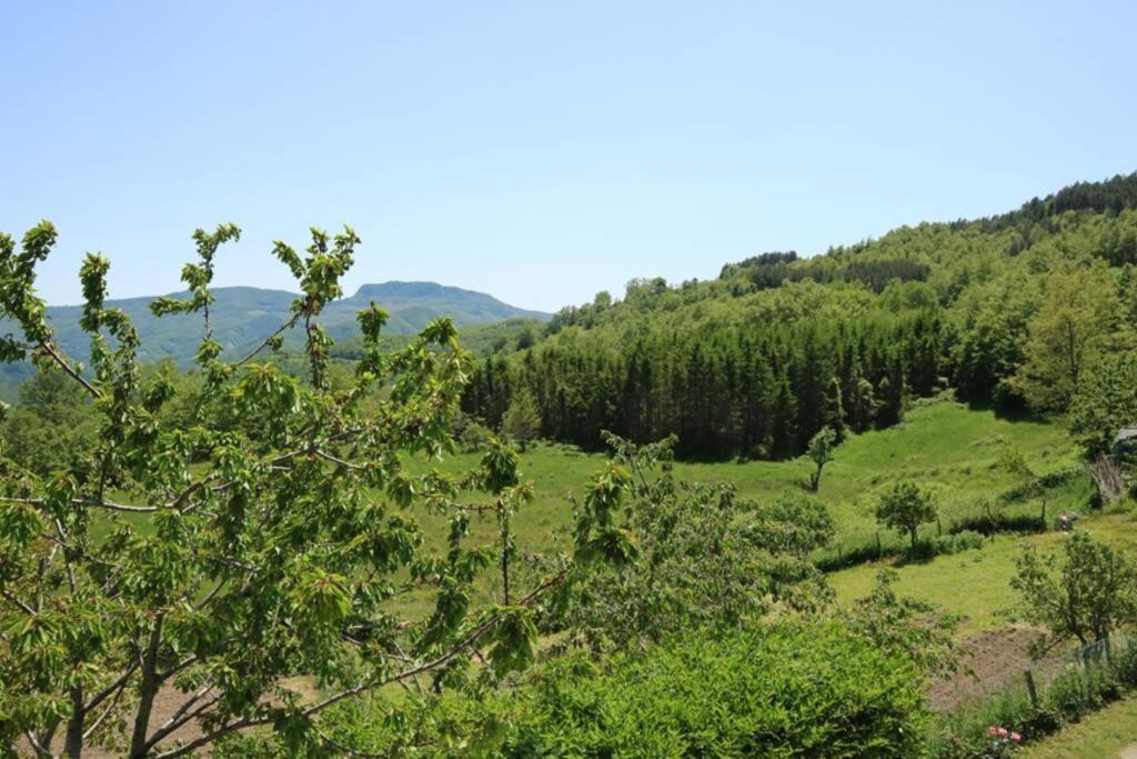 La Sala Vecchia - Lovely Tuscan Holiday House Badia Prataglia, Casentino Valley Chiusi della Verna Exterior photo