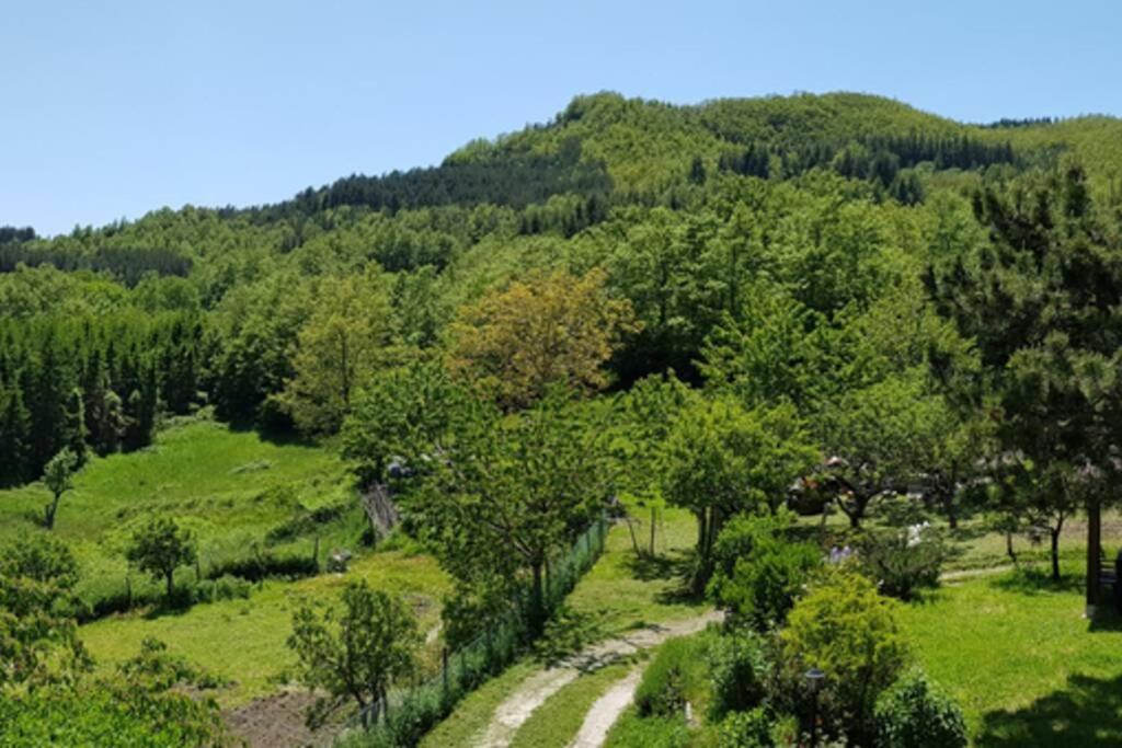 La Sala Vecchia - Lovely Tuscan Holiday House Badia Prataglia, Casentino Valley Chiusi della Verna Exterior photo